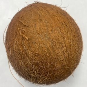 Dry Coconut