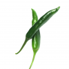 GREEN CHILI - Image 2