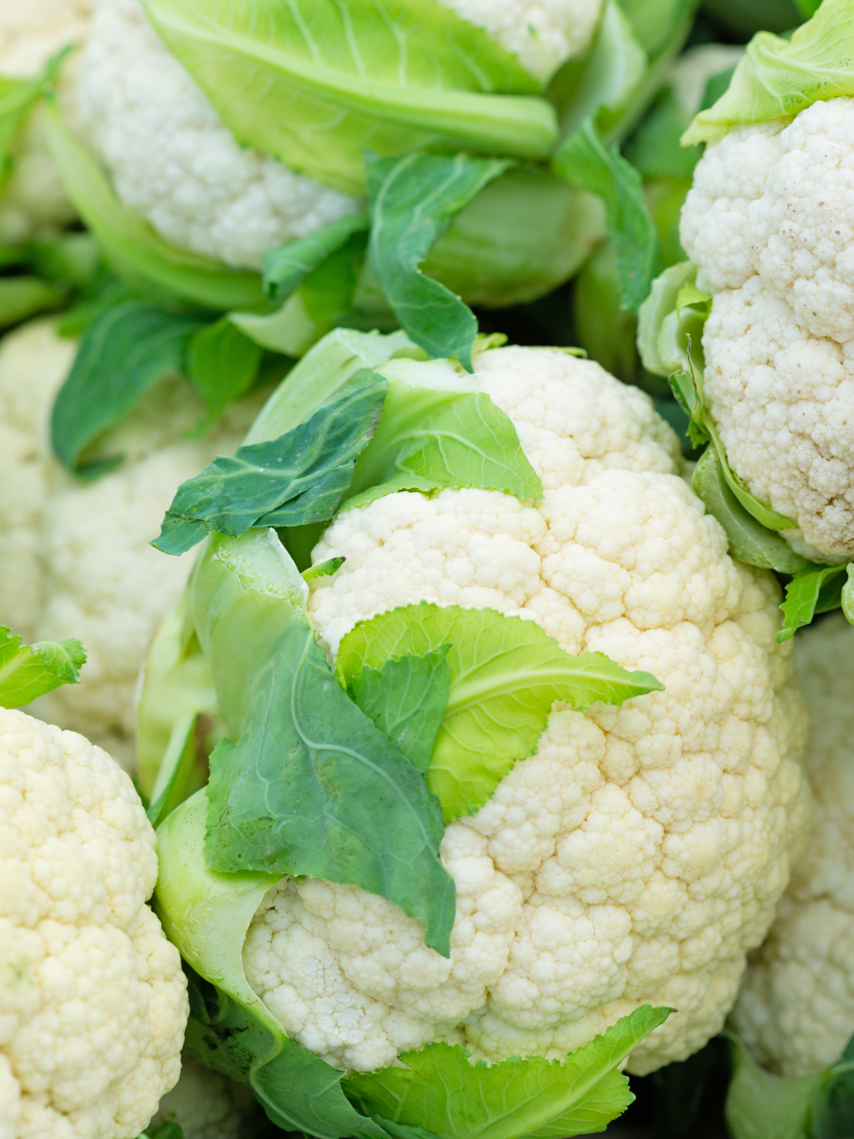 Cauliflower