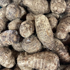 Fresh Taro Root – Arvi-2LB