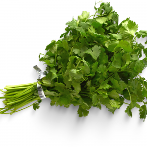 Bunch of Cilantro