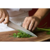 Bunch of Cilantro - Image 4